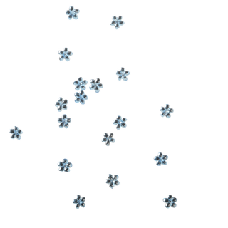 Small silver flower-shaped beads scattered on a white background